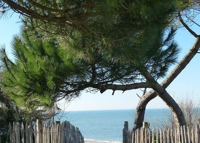 à 150m Du Port De St-martin-de-ré, Pour 2